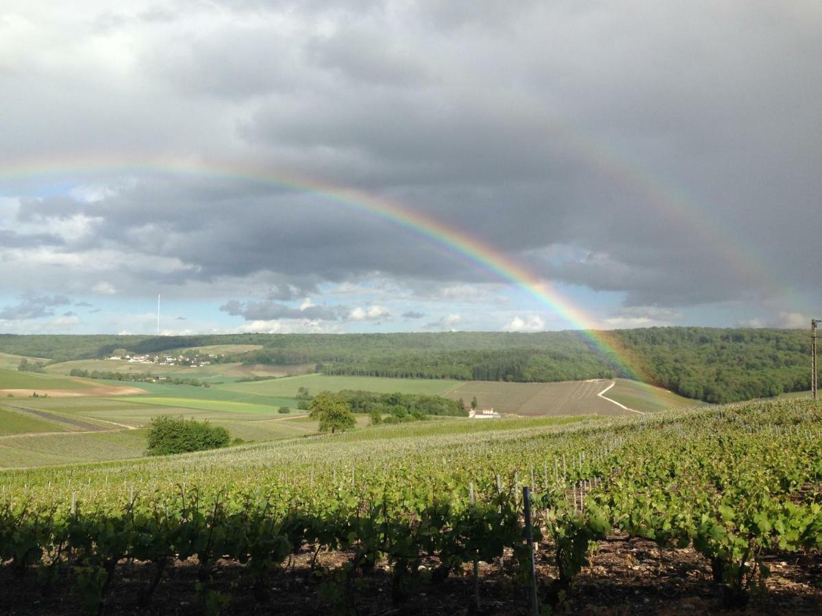 Flor'Ever En Champagne Fleury-la-Riviere Zewnętrze zdjęcie
