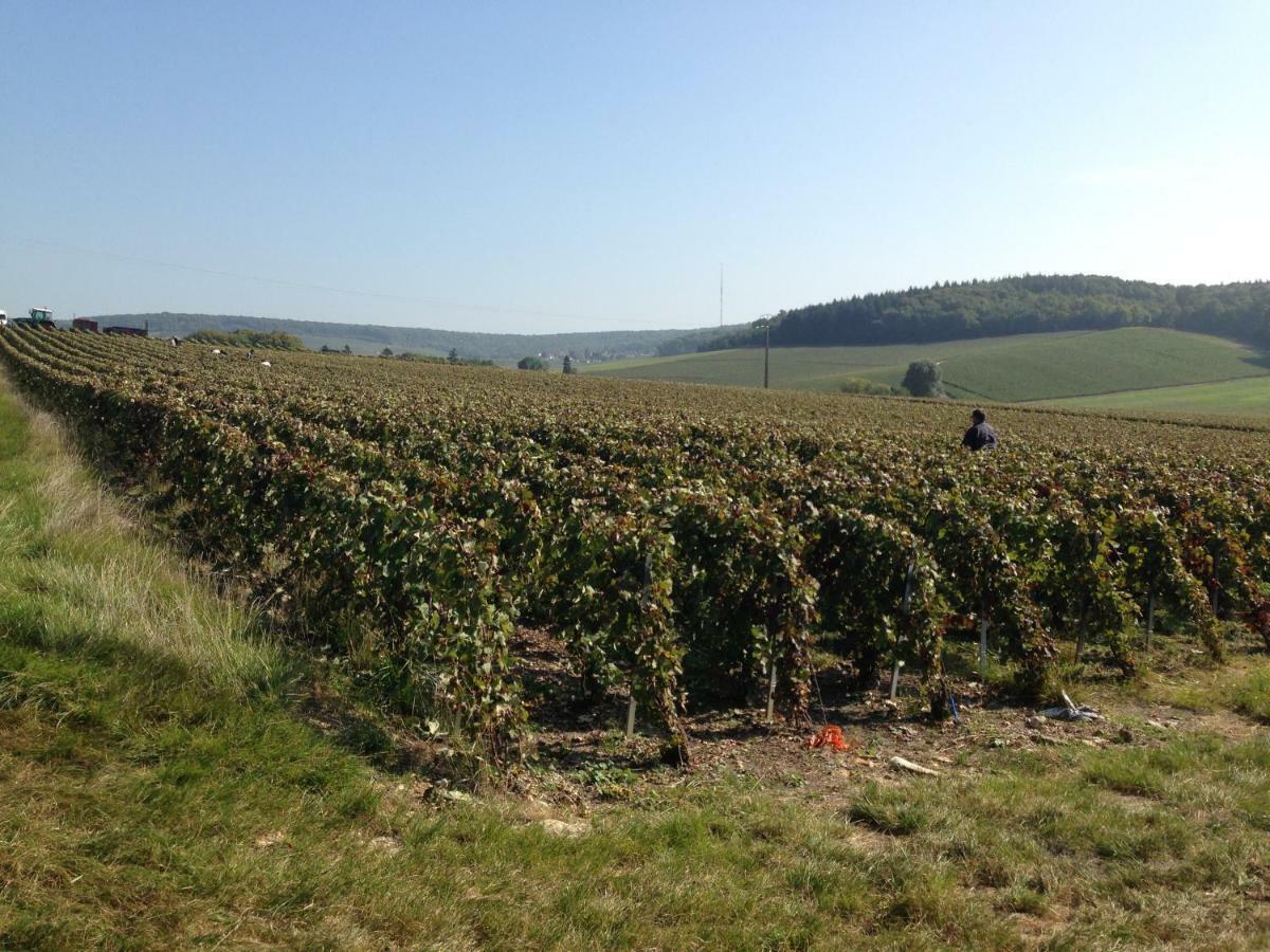 Flor'Ever En Champagne Fleury-la-Riviere Zewnętrze zdjęcie