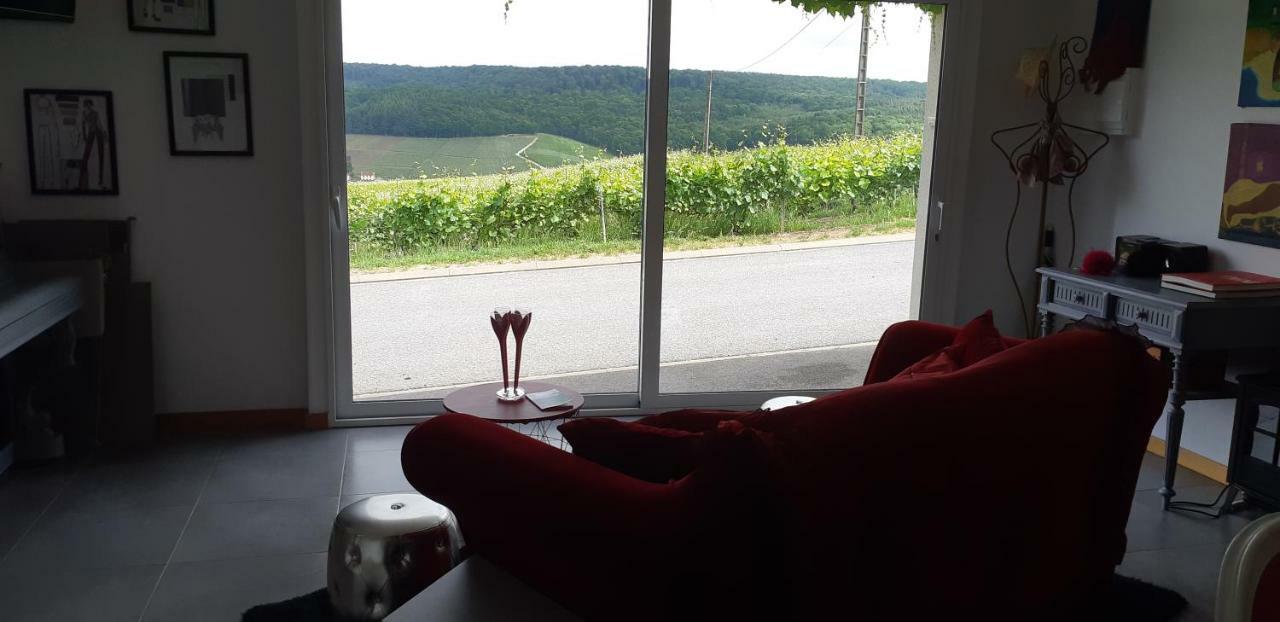 Flor'Ever En Champagne Fleury-la-Riviere Zewnętrze zdjęcie