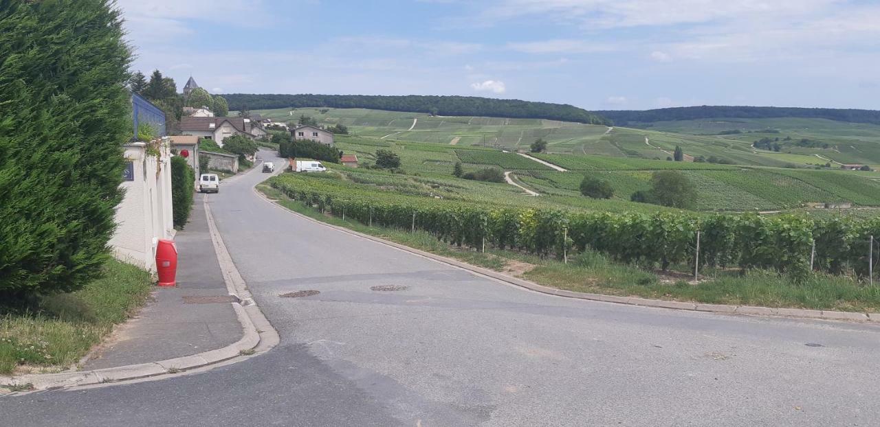 Flor'Ever En Champagne Fleury-la-Riviere Zewnętrze zdjęcie