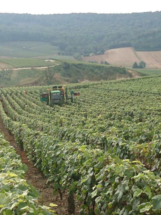 Flor'Ever En Champagne Fleury-la-Riviere Zewnętrze zdjęcie