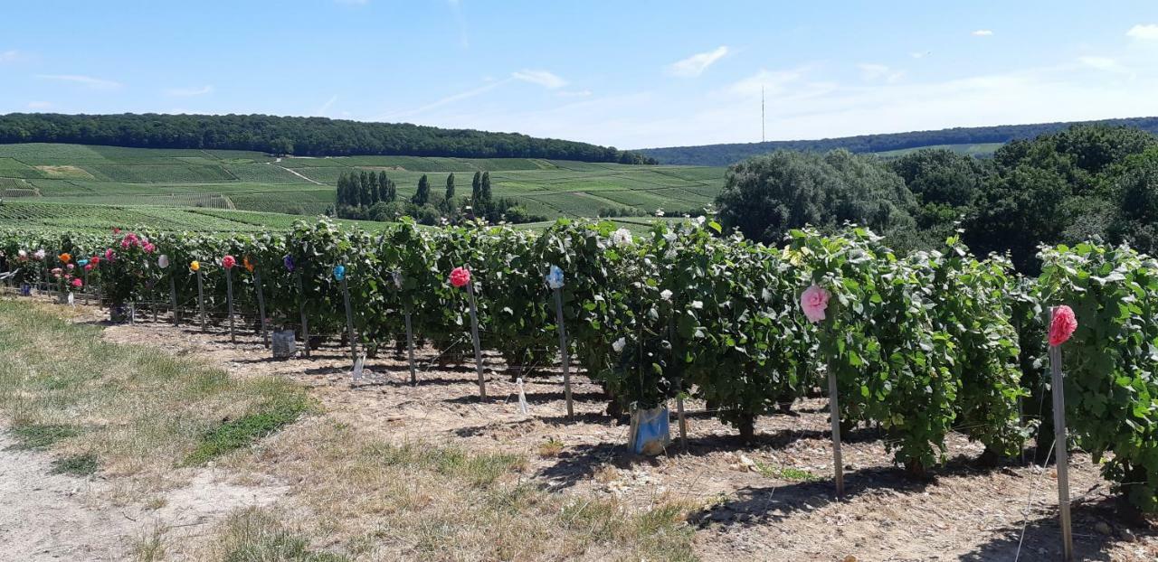 Flor'Ever En Champagne Fleury-la-Riviere Zewnętrze zdjęcie