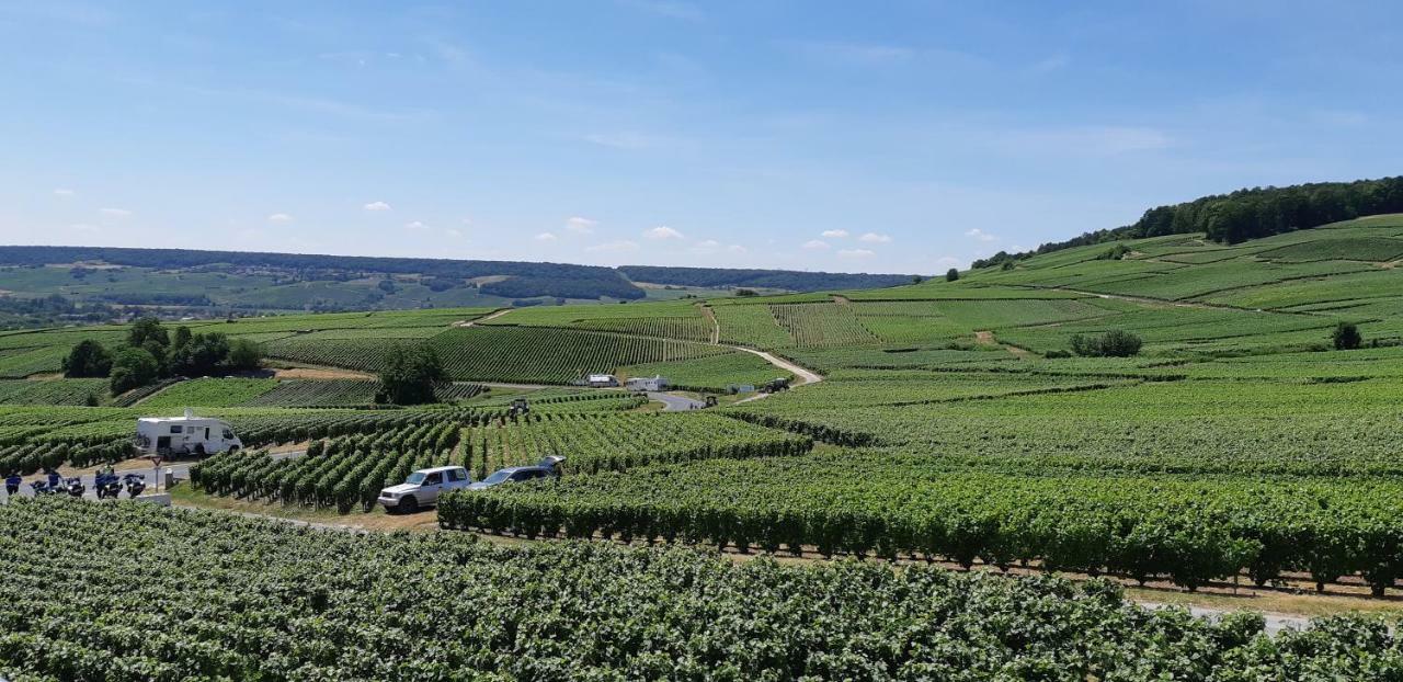 Flor'Ever En Champagne Fleury-la-Riviere Zewnętrze zdjęcie